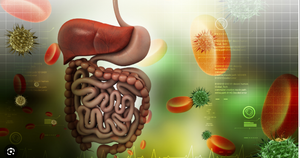 Digestive Health