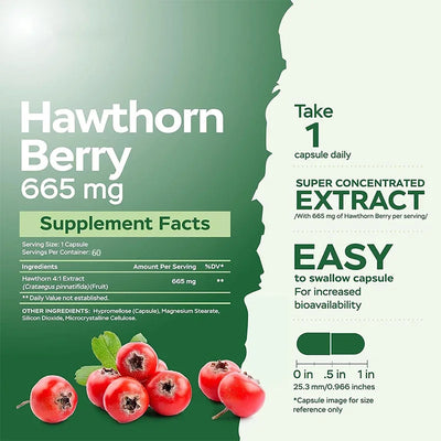 Hawthorn Berry 665mg Capsules – 60 Vegetarian, Non-GMO