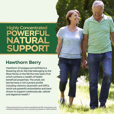 Hawthorn Berry 665mg Capsules – 60 Vegetarian, Non-GMO